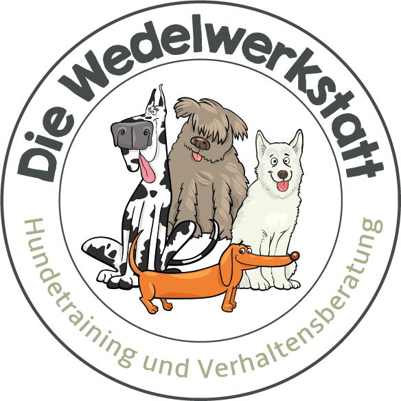 Die Wedelwerkstatt